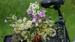 Tweedehands fietsen Utrecht
